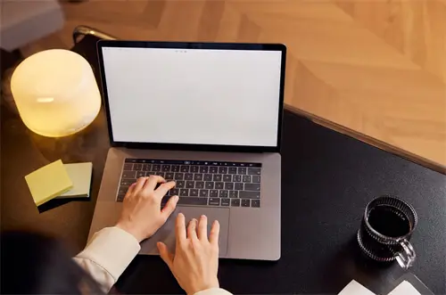 新手教程乐园地图攻略